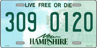 NH license plate 3090120