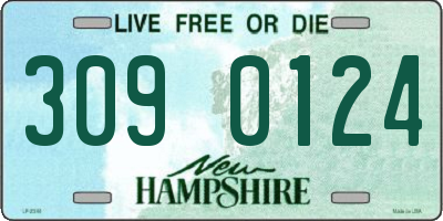 NH license plate 3090124