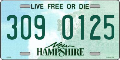 NH license plate 3090125