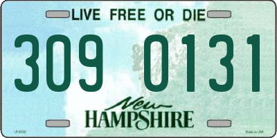 NH license plate 3090131