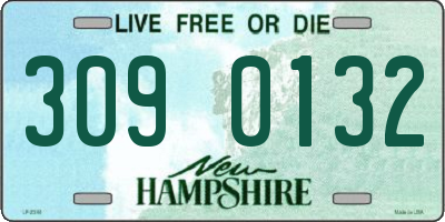 NH license plate 3090132