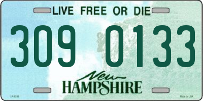 NH license plate 3090133