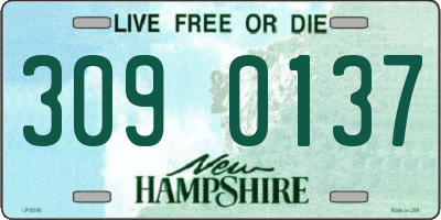 NH license plate 3090137
