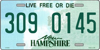 NH license plate 3090145