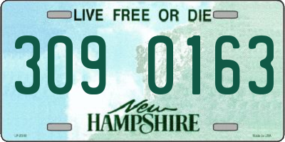 NH license plate 3090163