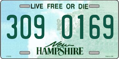 NH license plate 3090169