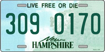 NH license plate 3090170