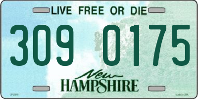 NH license plate 3090175