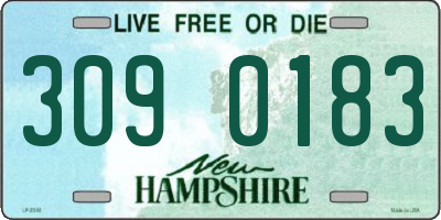 NH license plate 3090183