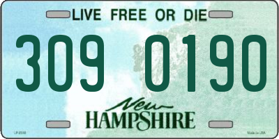 NH license plate 3090190