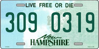 NH license plate 3090319