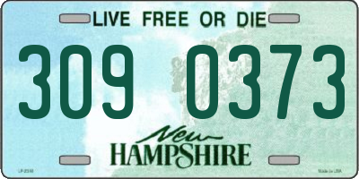 NH license plate 3090373