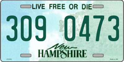 NH license plate 3090473