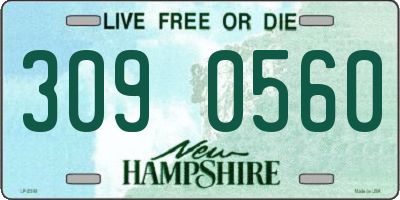 NH license plate 3090560