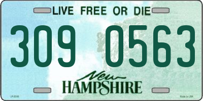 NH license plate 3090563