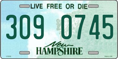 NH license plate 3090745