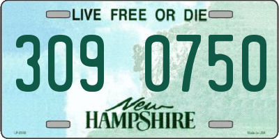 NH license plate 3090750