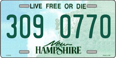 NH license plate 3090770