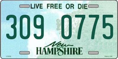 NH license plate 3090775