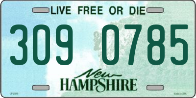 NH license plate 3090785