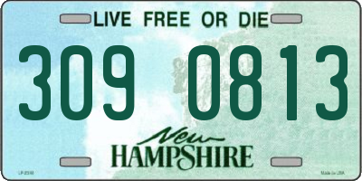 NH license plate 3090813