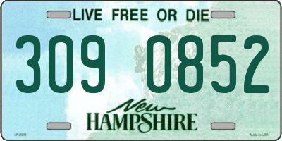 NH license plate 3090852