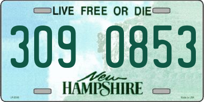NH license plate 3090853