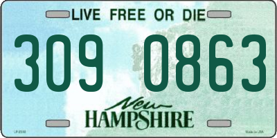 NH license plate 3090863