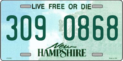 NH license plate 3090868