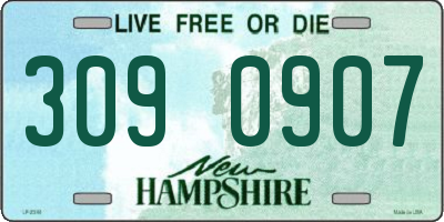 NH license plate 3090907