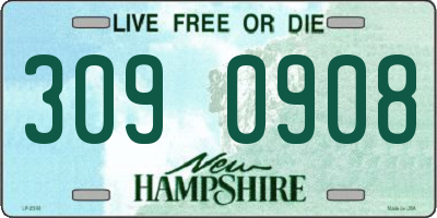 NH license plate 3090908