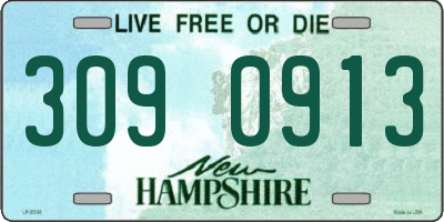 NH license plate 3090913