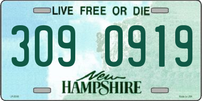 NH license plate 3090919