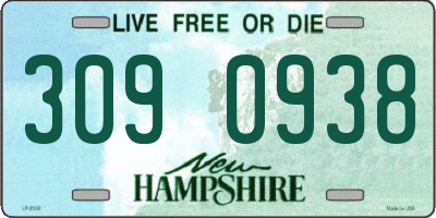 NH license plate 3090938