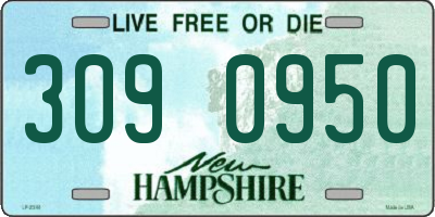 NH license plate 3090950