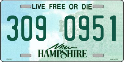 NH license plate 3090951