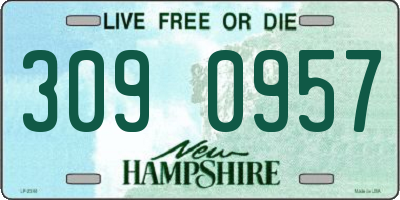 NH license plate 3090957