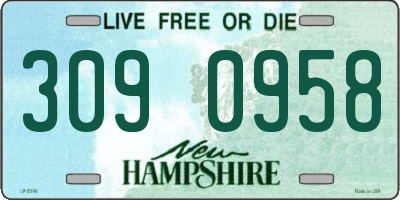 NH license plate 3090958