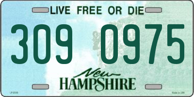 NH license plate 3090975