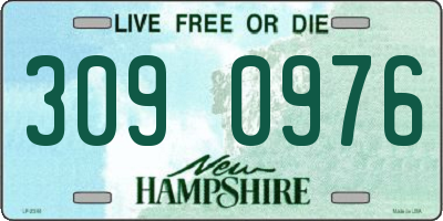 NH license plate 3090976