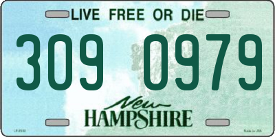 NH license plate 3090979