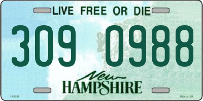 NH license plate 3090988