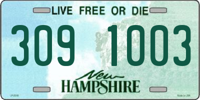 NH license plate 3091003