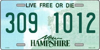 NH license plate 3091012