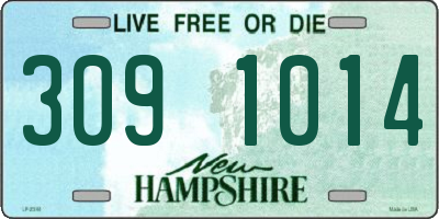 NH license plate 3091014