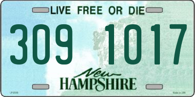 NH license plate 3091017