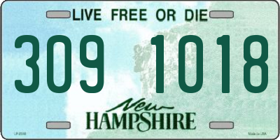 NH license plate 3091018