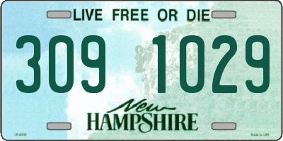 NH license plate 3091029