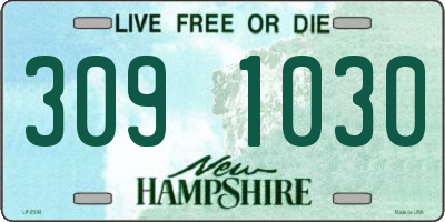 NH license plate 3091030