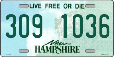 NH license plate 3091036